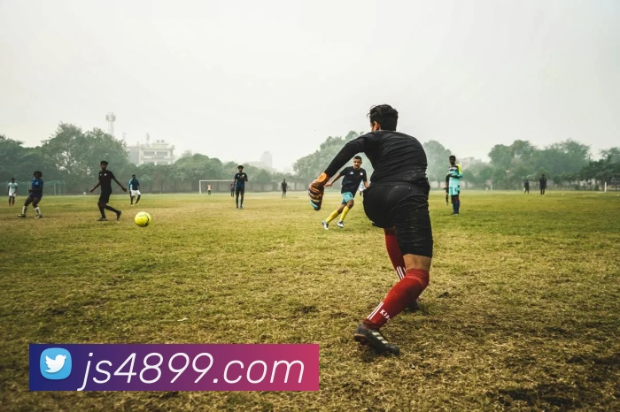 多媒体互动体验